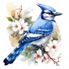 19 High-Quality Floral Blue Jay Clipart - Floral blue jay digital watercolor JPG instant download for commercial use - Digital download