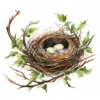 20 High-Quality Bird Nest Clipart - Bird nest digital watercolor JPG instant download for commercial use - Digital download