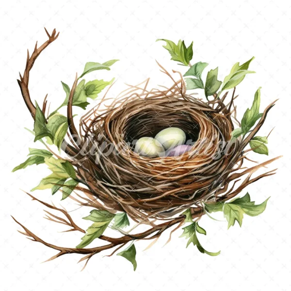 20 High-Quality Bird Nest Clipart - Bird nest digital watercolor JPG instant download for commercial use - Digital download
