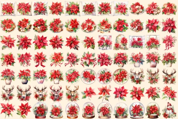 Poinsettias Watercolor Clipart Bundle - 515+ transparent PNG, Festive floral graphics, Poinsettia images, Commercial use, Digital download