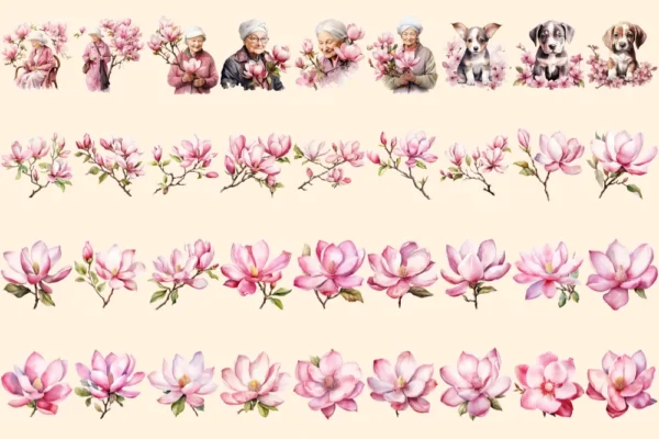 Magnolia Watercolor Clipart Bundle - 234+ transparent PNG, Botanical floral illustrations, Blossom images, Commercial use, Digital download