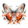 20 High-Quality Orange Silver Butterfly Clipart - Butterfly digital watercolor JPG instant download for commercial use - Digital download