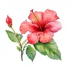 20 High-Quality Hibiscus Plant Clipart - Hibiscus plant digital watercolor JPG instant download for commercial use - Digital download
