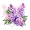 20 High-Quality Lilac Clipart - Lilac flower digital watercolor JPG instant download for commercial use - Digital download