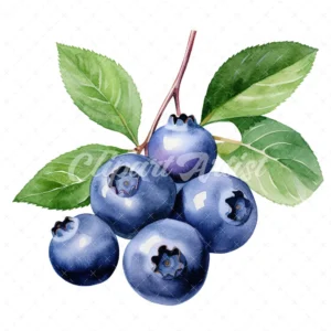 19 High-Quality Blueberries Clipart - Blueberries digital watercolor JPG instant download for commercial use - Digital download