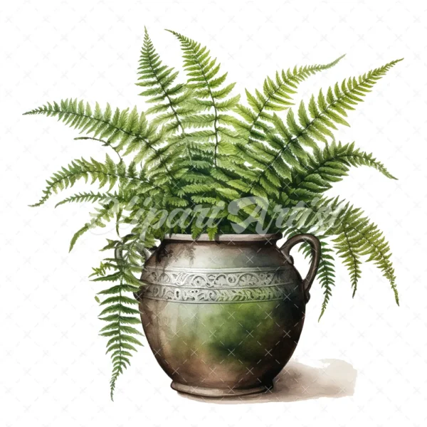 20 High-Quality Fern Antique Pot Clipart - digital watercolor JPG instant download for commercial use - Digital download