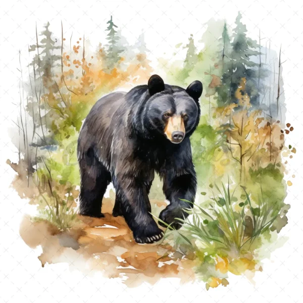19 High-Quality Black Bear Clipart - Black bear digital watercolor JPG instant download for commercial use - Digital download