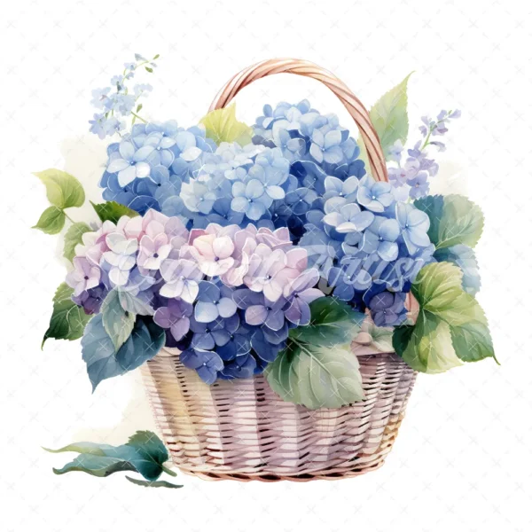 20 High-Quality Hydrangea Basket Clipart - Hydrangea basket digital watercolor JPG instant download for commercial use - Digital download