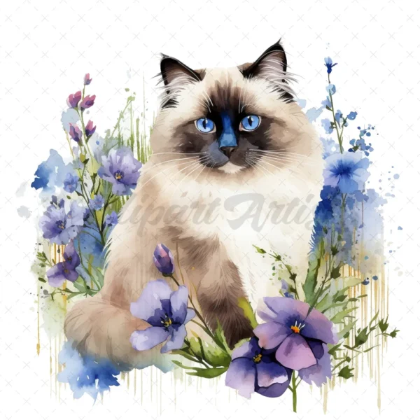 20 High-Quality Ragdoll Cats Clipart - Ragdoll cat digital watercolor JPG instant download for commercial use - Digital download