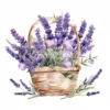 20 High-Quality Lavender Flowers Basket Clipart - Lavender digital watercolor JPG instant download for commercial use - Digital download