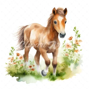 20 High-Quality Foal Clipart - Foal animal digital watercolor JPG instant download for commercial use - Digital download