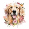 20 High-Quality Floral Golden Retriever Clipart - Retriever digital watercolor JPG instant download for commercial use - Digital download