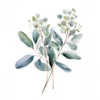 20 High-Quality Eucalyptus Clipart - Eucalyptus digital watercolor JPG instant download for commercial use - Digital download