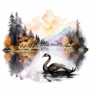 20 High-Quality Black Swan Clipart - Black swan digital watercolor JPG instant download for commercial use - Digital download