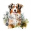 20 High-Quality Australian Shepherd Clipart - Shepherd dog digital watercolor JPG instant download for commercial use - Digital download