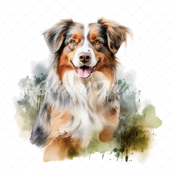 20 High-Quality Australian Shepherd Clipart - Shepherd dog digital watercolor JPG instant download for commercial use - Digital download