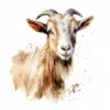 20 High-Quality Kiko Goat Clipart - Kiko goat digital watercolor JPG instant download for commercial use - Digital download