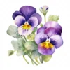 19 High-Quality Pansy Clipart - Pansy flowers digital watercolor JPG instant download for commercial use - Digital download