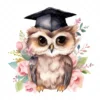 19 High-Quality Graduation Owl Clipart - Graduation owl digital watercolor JPG instant download for commercial use - Digital download