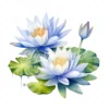 20 High-Quality Water Lily Clipart - Water lily digital watercolor JPG instant download for commercial use - Digital download