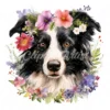 20 High-Quality Floral Border Collie Clipart - Border collie digital watercolor JPG instant download for commercial use - Digital download