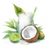 20 High-Quality Coconut Drink Clipart - Coconut drink digital watercolor JPG instant download for commercial use - Digital download