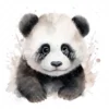 20 High-Quality Baby Panda Portrait Clipart - Panda Portrait digital watercolor JPG instant download or commercial use - Digital download