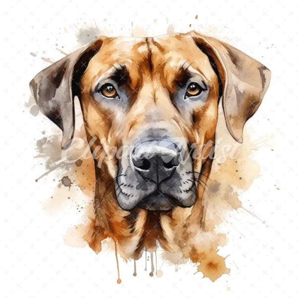 20 High-Quality Rhodesian Portrait Clipart - Rhodesian dog digital watercolor JPG instant download for commercial use - Digital download