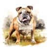 20 High-Quality Bulldog Clipart - Bulldog dog digital watercolor JPG instant download for commercial use - Digital download