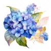 20 High-Quality Hydrangea Clipart - Hydrangea flower digital watercolor JPG instant download for commercial use - Digital download