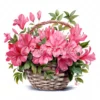 20 High-Quality Azaleas Basket Clipart - Azaleas basket digital watercolor JPG instant download for commercial use - Digital download