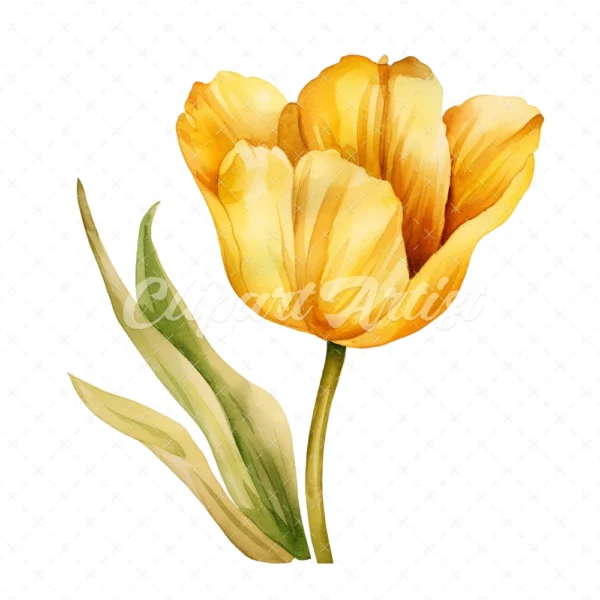 20 High-Quality Yellow Tulip Clipart - Yellow tulip digital watercolor JPG instant download for commercial use - Digital download