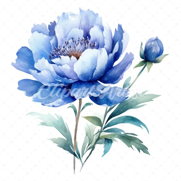 20 High-Quality Blue Peony Clipart - Blue peony flower digital watercolor JPG instant download for commercial use - Digital download