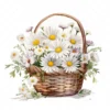 20 High-Quality Daisies Basket Clipart - Daisies basket digital watercolor JPG instant download for commercial use - Digital download