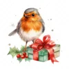 20 High-Quality Robin Bird on Gifts Clipart - Robin bird gifts digital watercolor JPG instant download for commercial use - Digital download