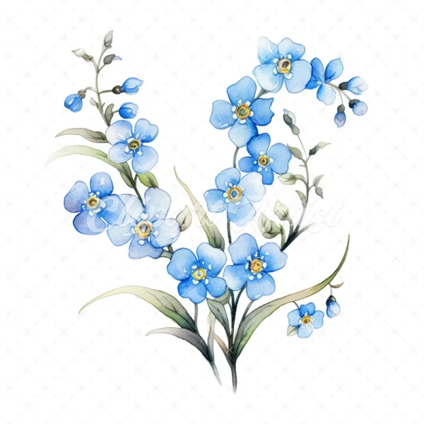 20 High-Quality Forget Me Not Clipart - Forget me not digital watercolor JPG instant download for commercial use - Digital download