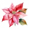 20 High-Quality Poinsettia Clipart - Poinsettia flower digital watercolor JPG instant download for commercial use - Digital download