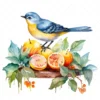 20 High-Quality Bird on Fruits Table Clipart - Bird fruits digital watercolor JPG instant download for commercial use - Digital download