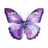 24 High-Quality Purple Butterfly Clipart - Purple butterfly digital watercolor JPG instant download for commercial use - Digital download