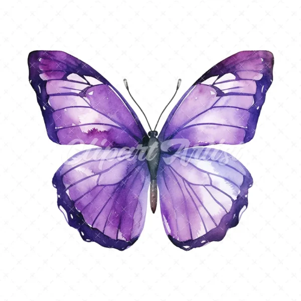 24 High-Quality Purple Butterfly Clipart - Purple butterfly digital watercolor JPG instant download for commercial use - Digital download