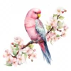 18 High-Quality Pink Bourke Parakeet Clipart - Pink parakeet digital watercolor JPG instant download for commercial use - Digital download
