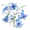 21 High-Quality Bluebells Clipart - Bluebells flowers digital watercolor JPG instant download for commercial use - Digital download
