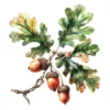 19 High-Quality Oak Acorns Clipart - Oak acorns digital watercolor JPG instant download for commercial use - Digital download