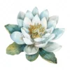19 High-Quality Delicate Water Lily Clipart - Water lily digital watercolor JPG instant download for commercial use - Digital download