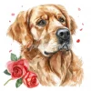 20 High-Quality Golden Retriever Clipart - Golden retriever digital watercolor JPG instant download for commercial use - Digital download