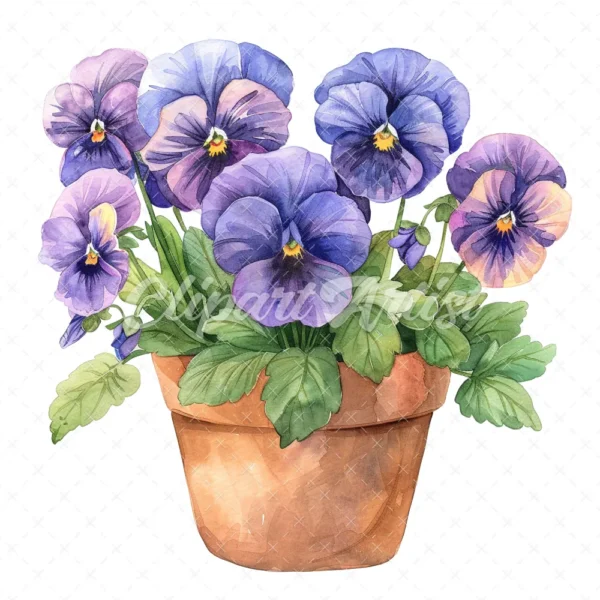 20 High-Quality Pot of Pansies Clipart - Pot of pansies digital watercolor JPG instant download for commercial use - Digital download