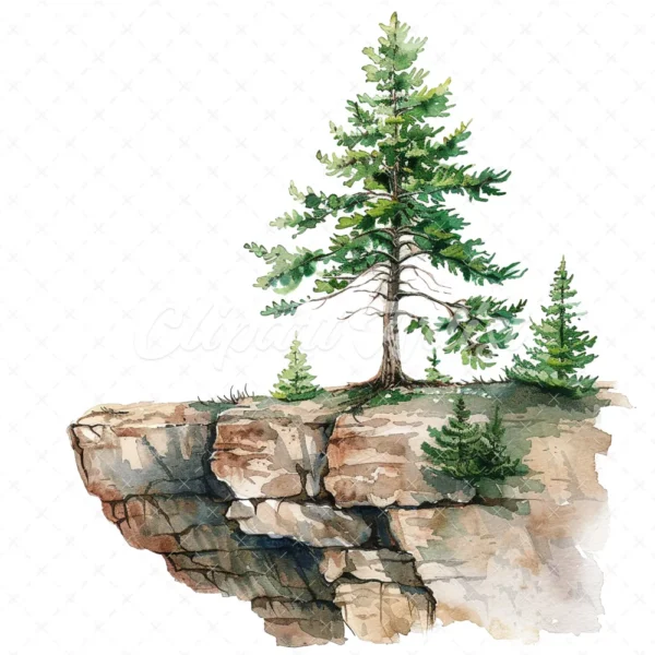 20 High-Quality Pine Trees on Cliff Clipart - Pine trees on cliff watercolor JPG instant download for commercial use - Digital download