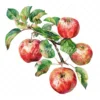 20 High-Quality Apple Branch Clipart - Apple branch watercolor JPG instant download for commercial use - Digital download