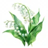 20 High-Quality Lily Of Valley Clipart - Lily of the valley digital watercolor JPG instant download for commercial use - Digital download