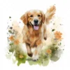20 High-Quality Golden Retriever Clipart - Golden retriever digital watercolor JPG instant download for commercial use - Digital download